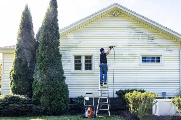 Best Concrete Pressure Washing  in Bargersville, IN